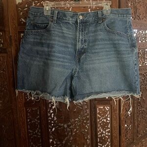 Old Navy Distressed Blue Jean Shorts
